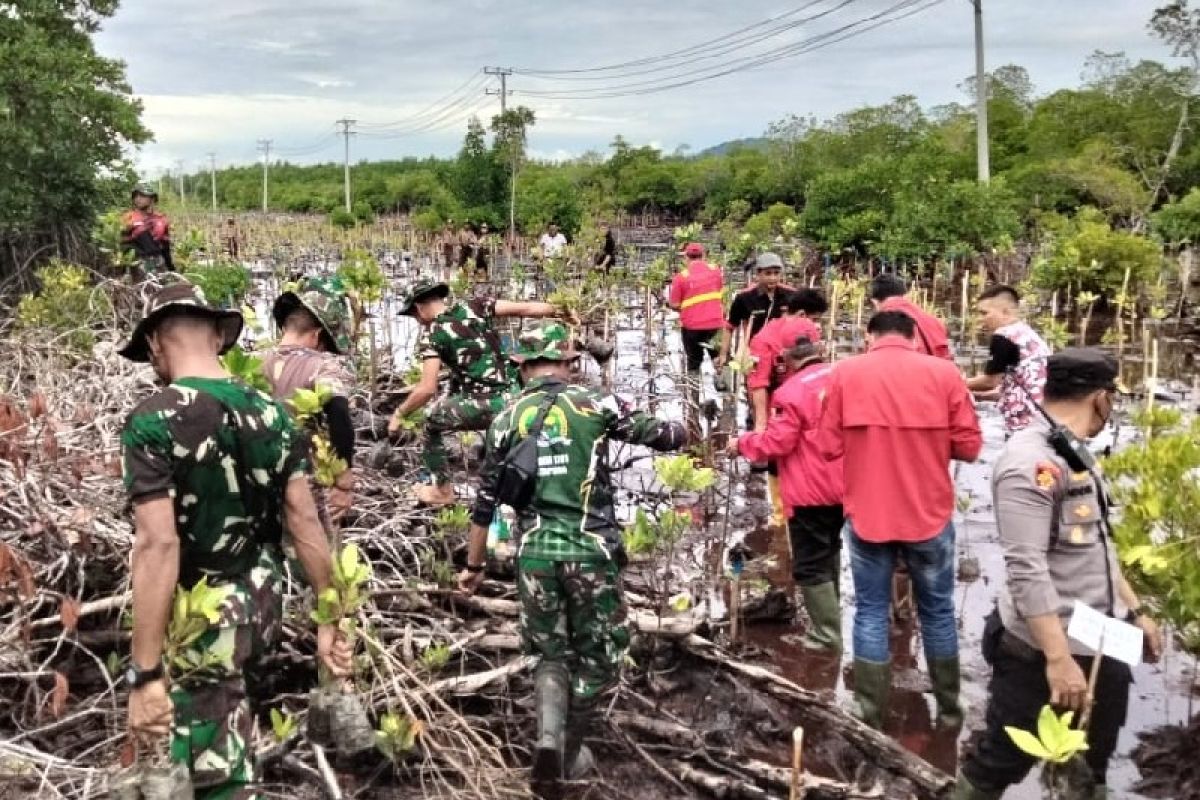 Personel Kodim 1701/Jayapura  tanam bibit bakau di Teluk Youtefa