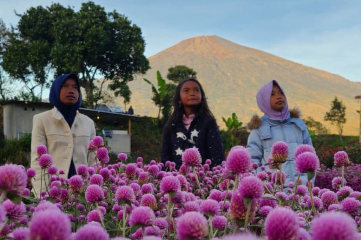 Pesona destinasi "Arum Rinjani Park" di kaki Gunung Rinjani