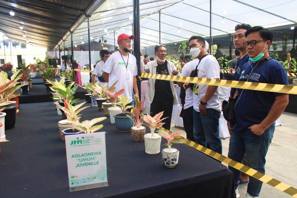 Kontes tanaman anggrek dan syngonium awali Jakarta Plant Market