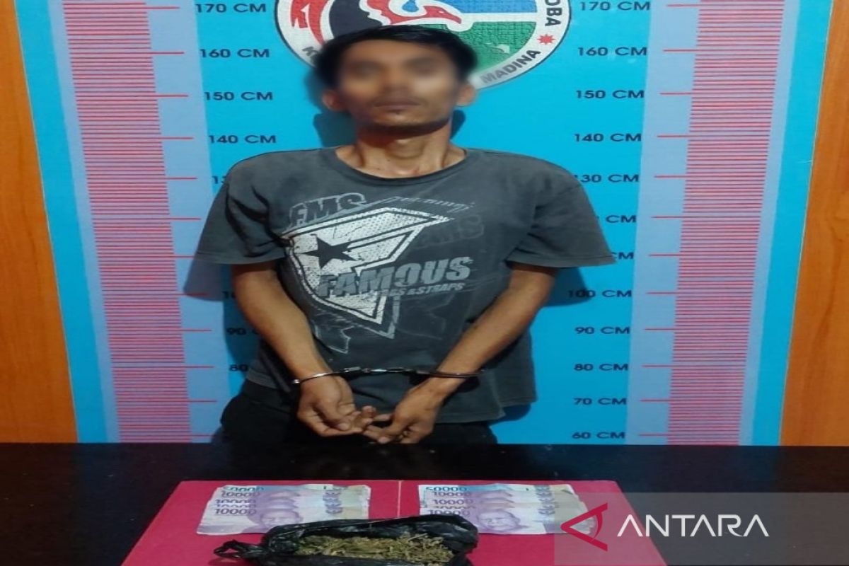 Pengedar ganja di Panyabungan III diringkus polisi