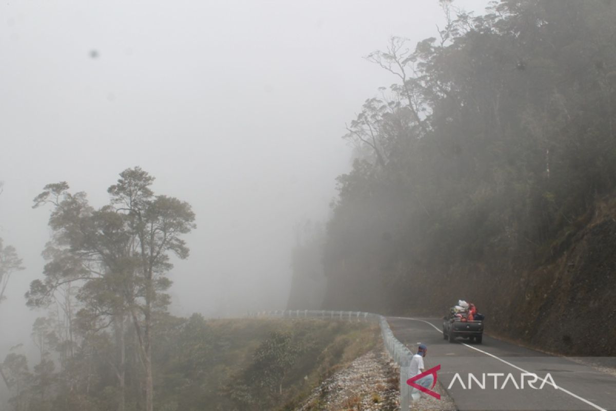 Pemkab Jayawijaya segera lakukan penyesuaian tarif angkutan