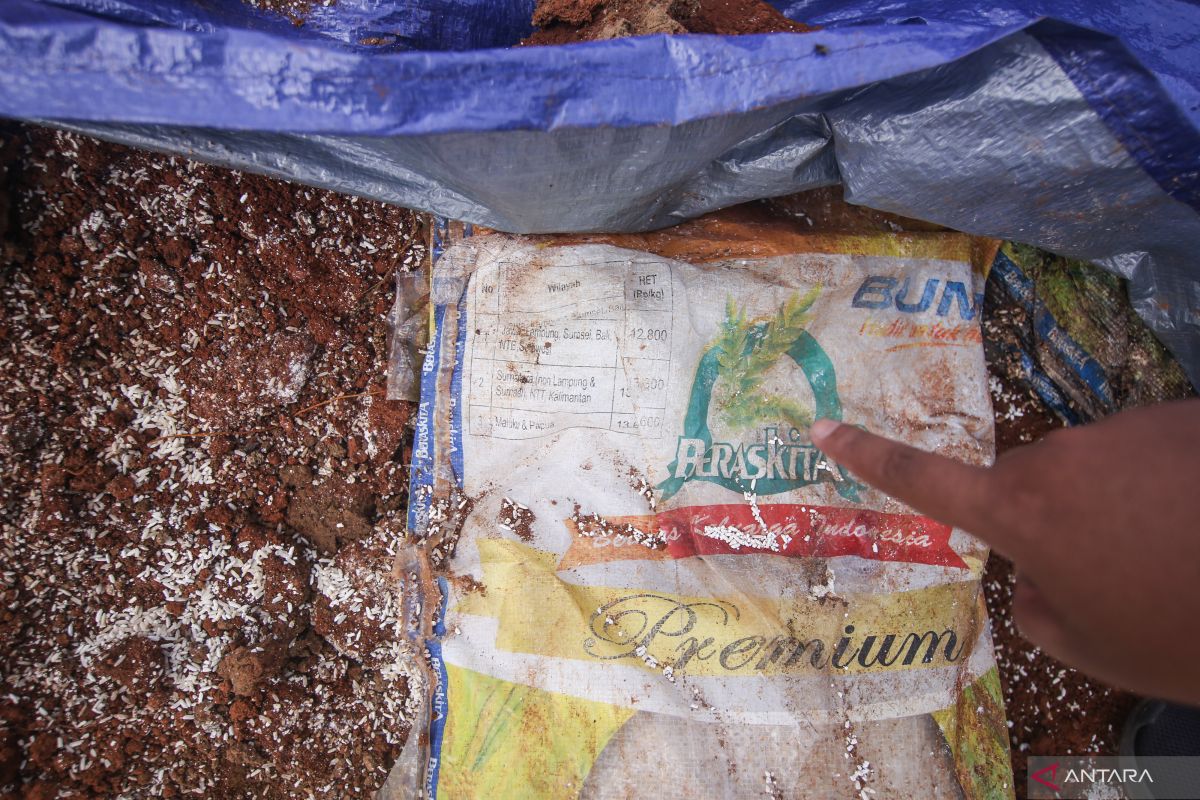 Polisi selidiki kasus penemuan beras bansos terkubur di Depok