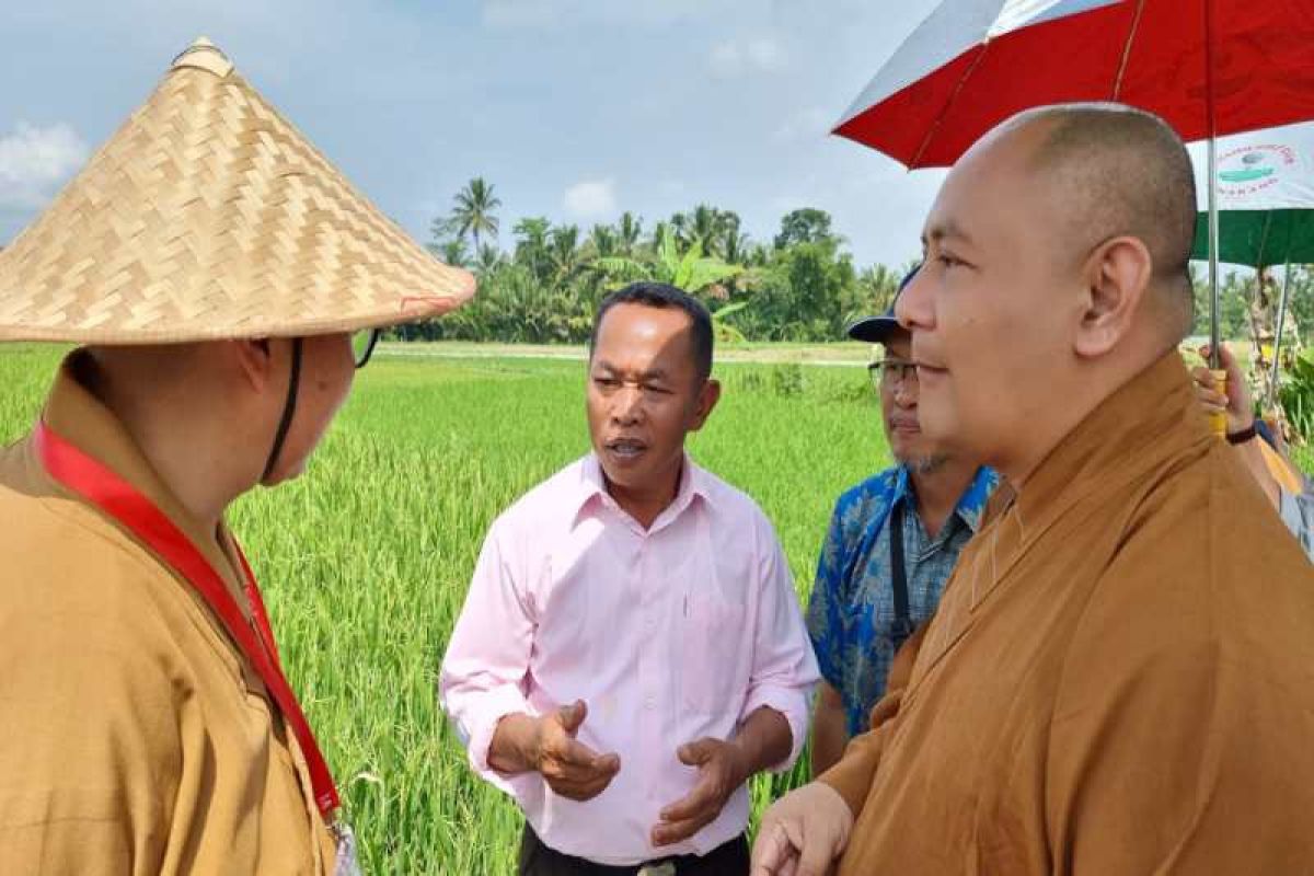 Bidik pasar ekspor, petani Temanggung jajaki tanam padi organik