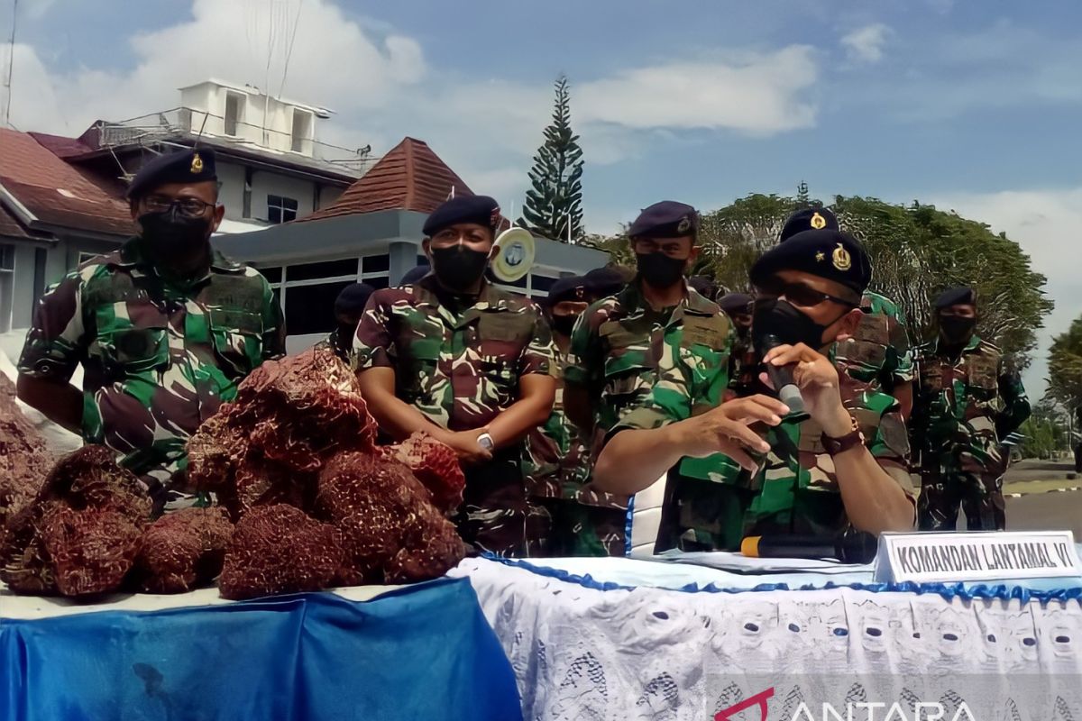 Lantamal VI amankan 324 koli terumbu karang merah di Perairan Pangkep Sulsel