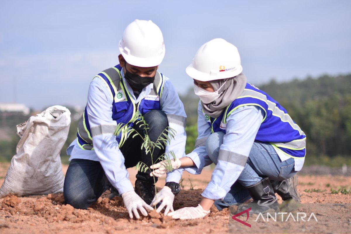 Bukit Asam tanam 1,3 juta pohon di areal reklamasi tambang