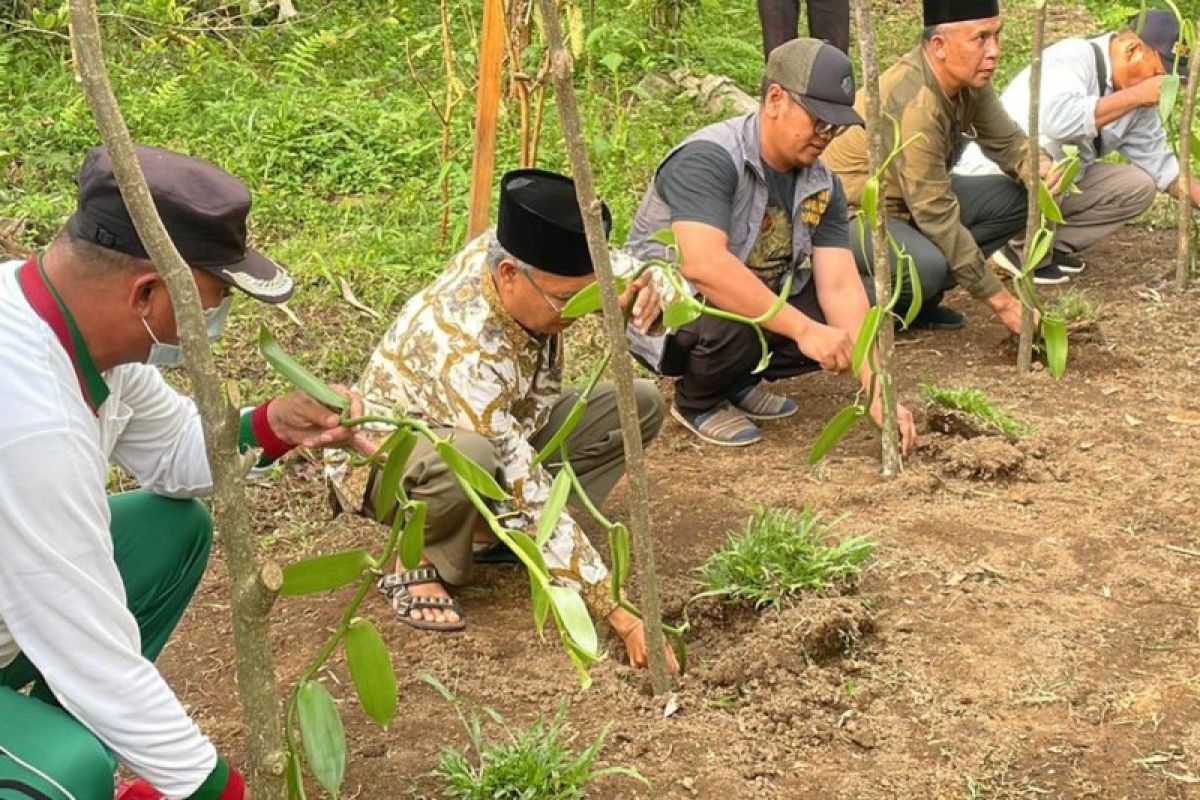 Unram-BTNGR bersinergi bina petani kembangkan agrowisata vanili organik