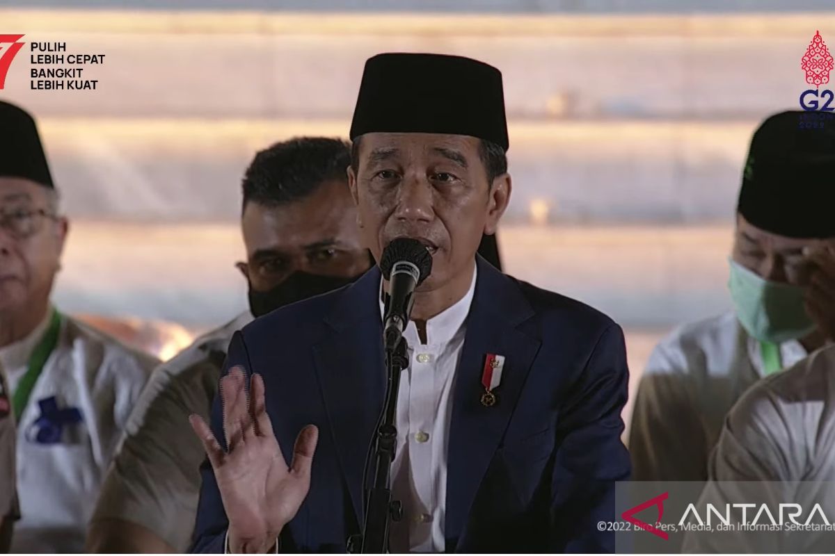 Jokowi ceritakan isi pertemuan dengan Presiden Zelensky dan Putin