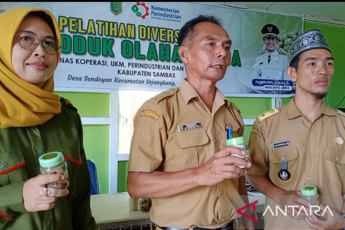 Diskumindag Sambas latih warga Sendoyan diversifikasi lada jalankan inpres perbatasan