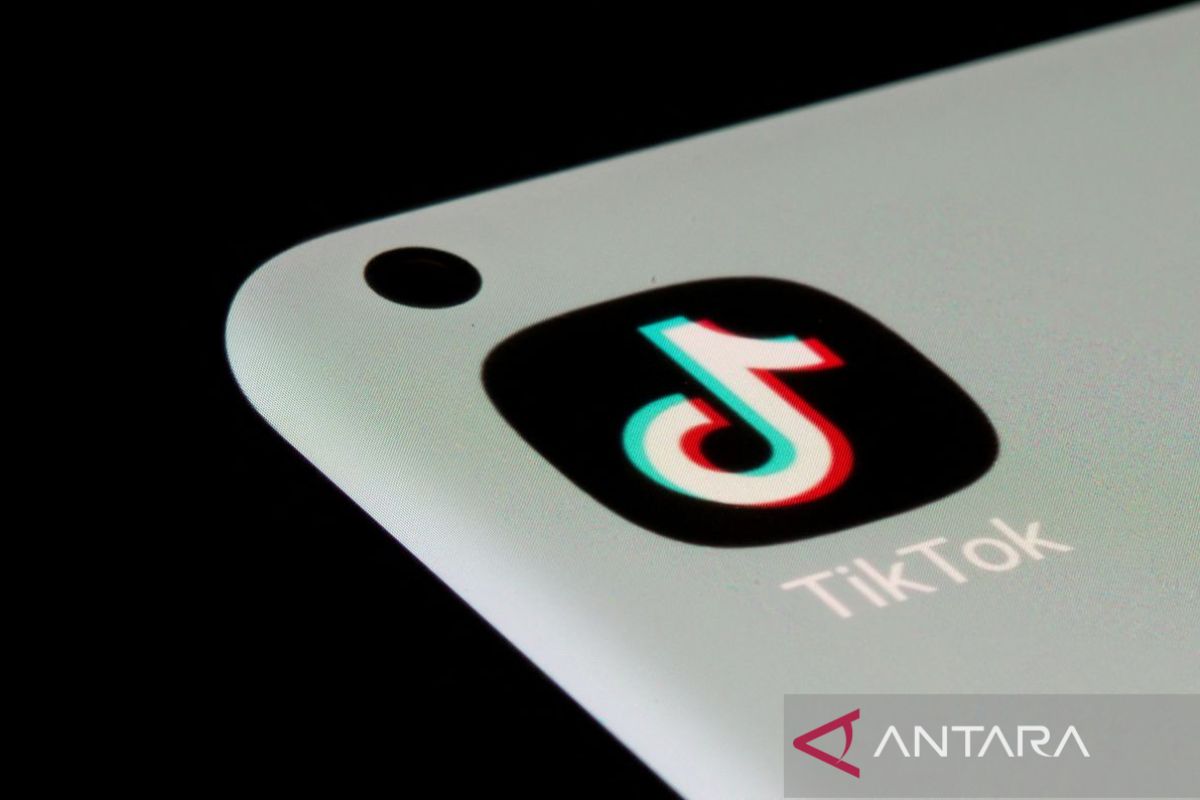 TikTok berencana hadirkan fitur 'streaming' musik