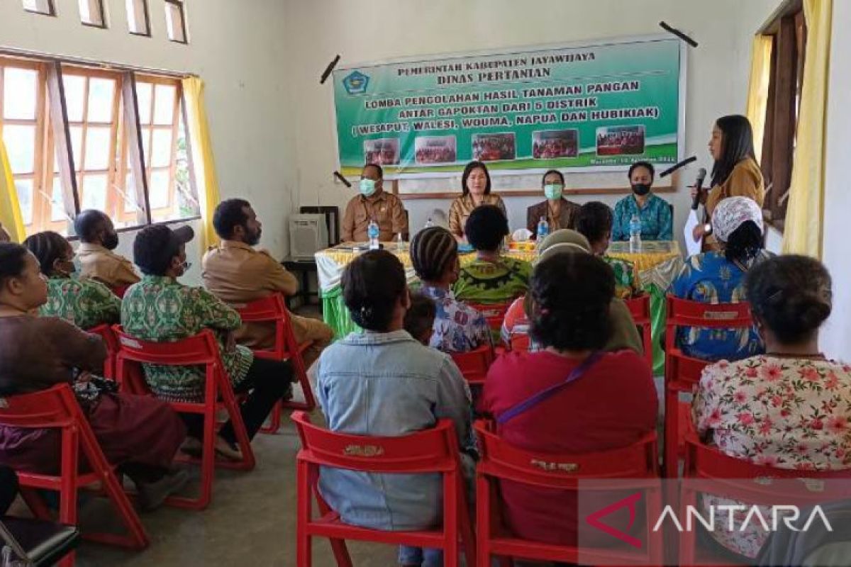 Pemkab Jayawijaya selenggarakan lomba pengolahan hasil tanaman pangan