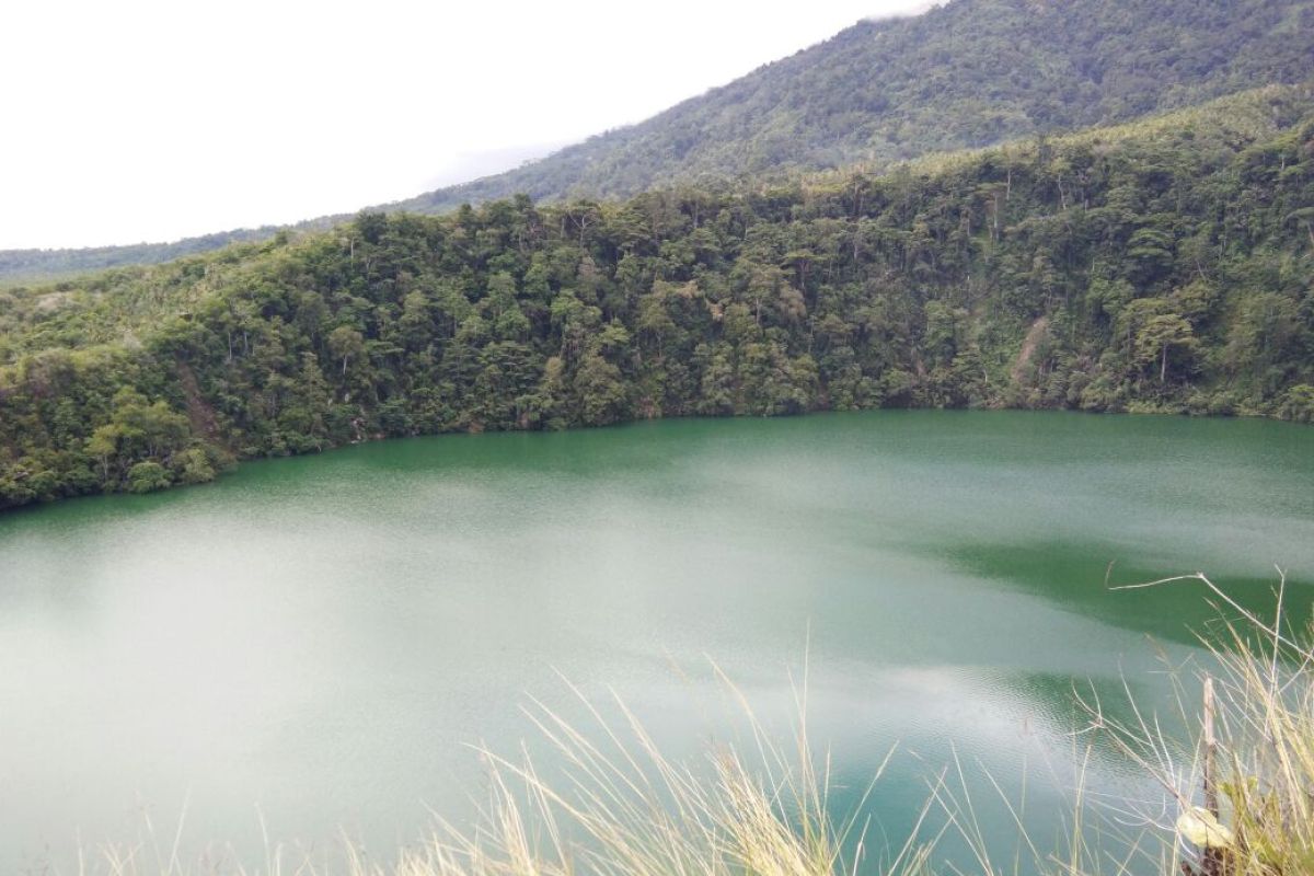 Danau Tolire Ternate ditutup sementara karena serangan buaya