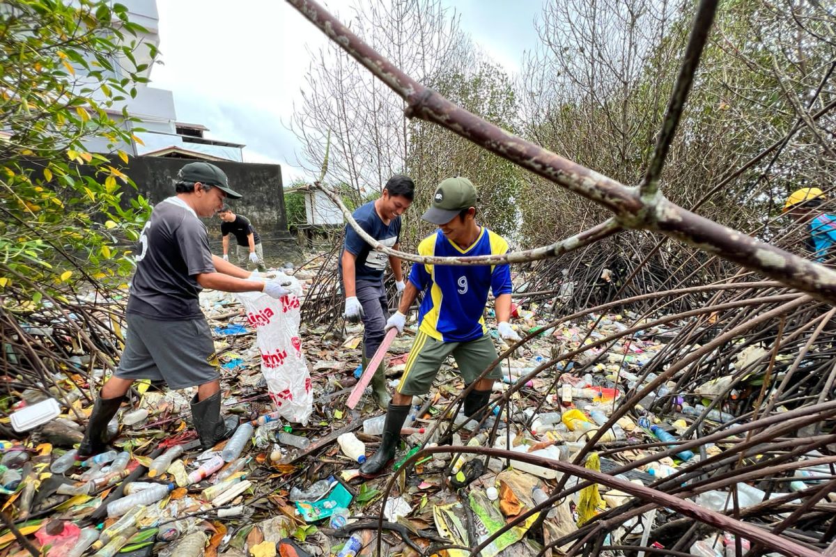 Komunitas lingkungan dan PLN Maluku bersihkan area mangrove di Ambon