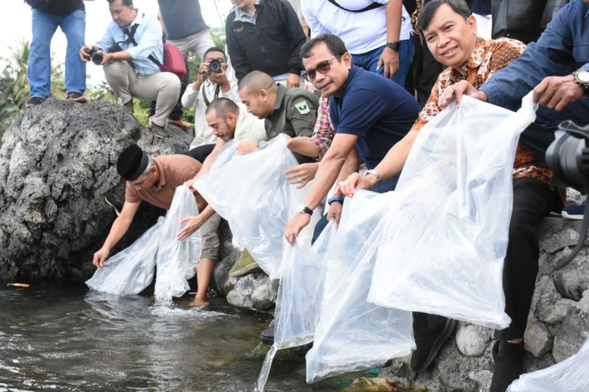 7.000 ekor ikan bilih dilepas ke habitat asli di Danau Singkarak