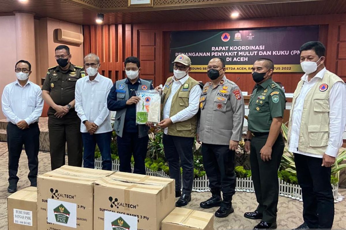 BNPB minta Aceh tingkatkan biosekuriti dalam penanganan PMK