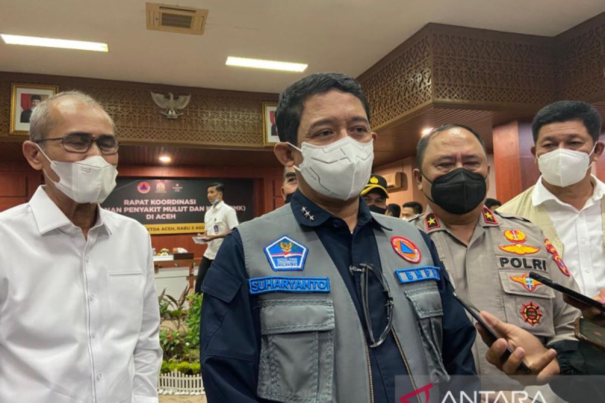 BNPB minta Aceh segera potong bersyarat ternak sakit parah karena PMK