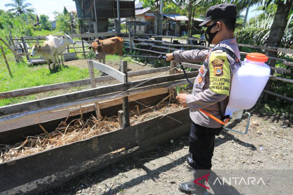 BNPB beri target Aceh bisa nihil kasus PMK hingga September