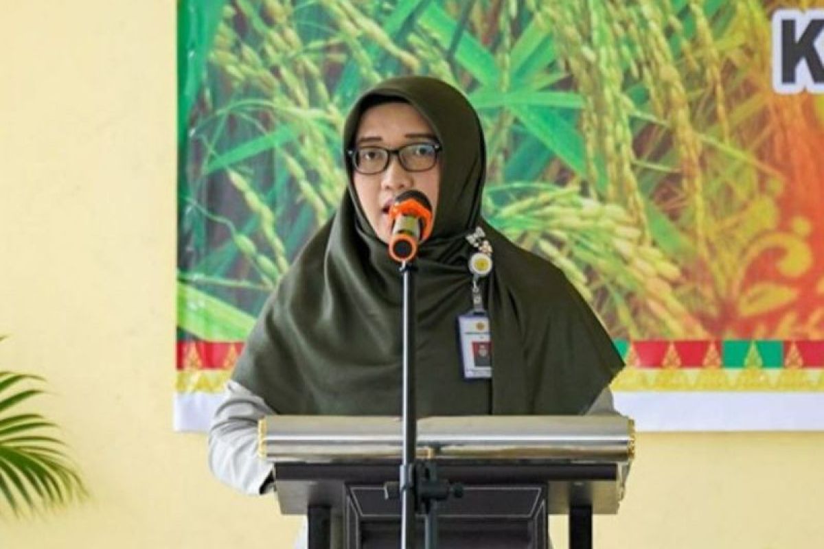 Dinas PTPH Riau giatkan pengembangan padi gogo spesifik