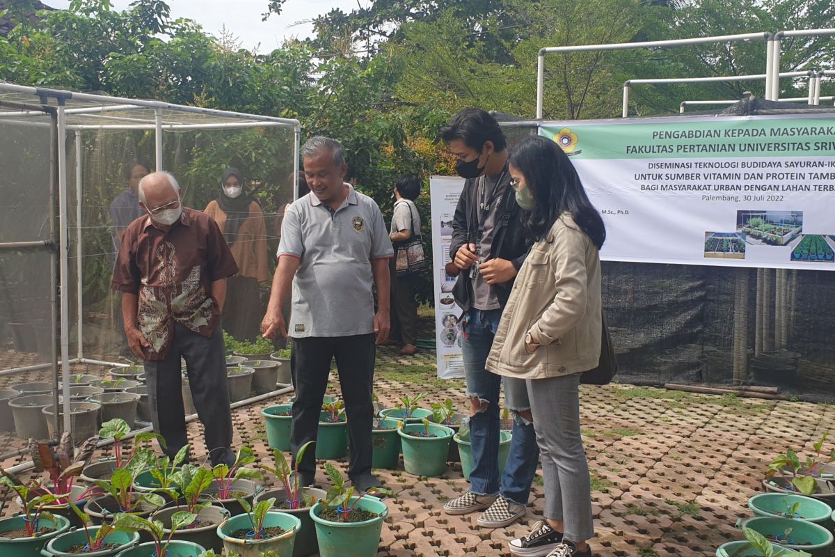 Gubernur Sumsel ajak semua pihak bimbing petani sukseskan program GSMP