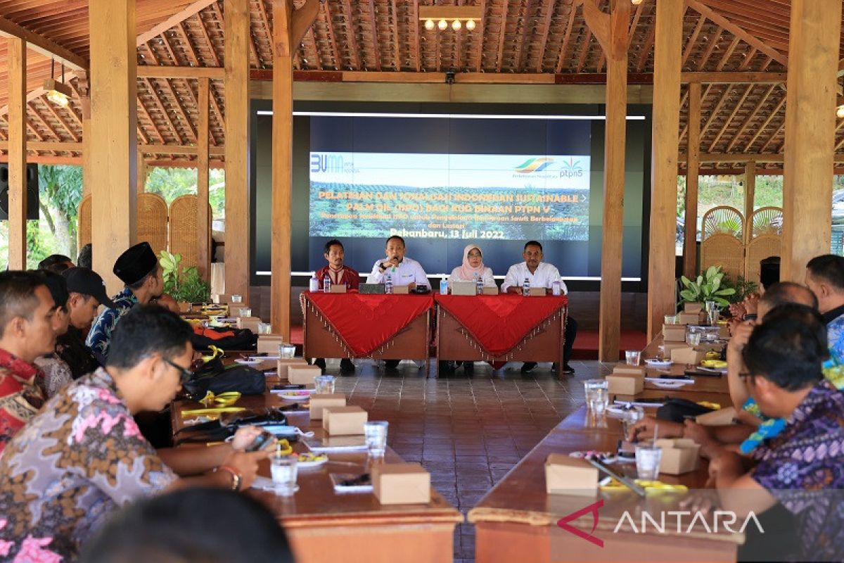 PTPN V rangkul 5.000 petani sertifikasi ISPO