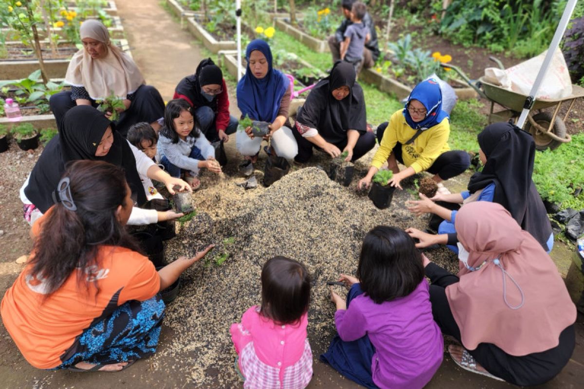 Dosen SBM ITB kenalkan budidaya chamomile sebagai peluang usaha