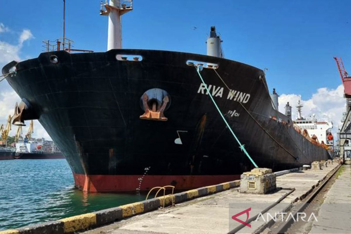 Ukraina nantikan kapal pertama pengangkut biji-bijian