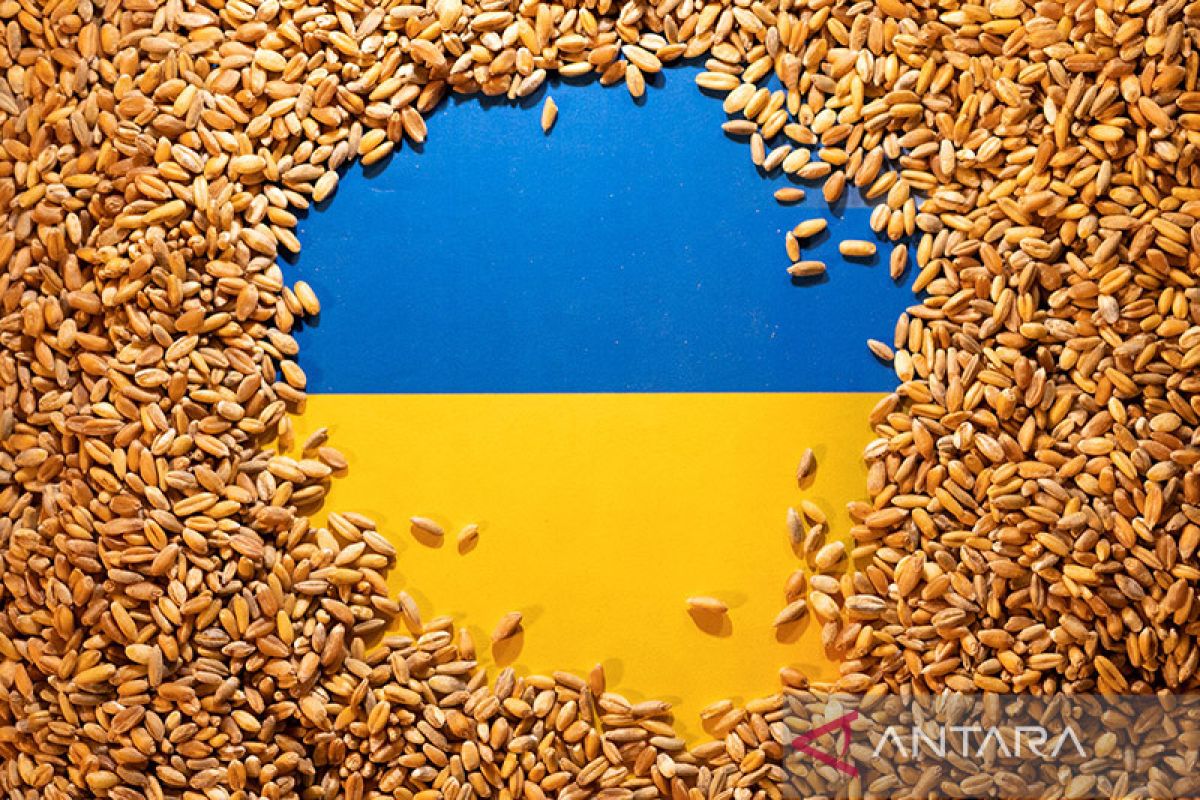 Ekspor biji-bijian Ukraina dimulai kembali saat harga pangan dunia turun drastis
