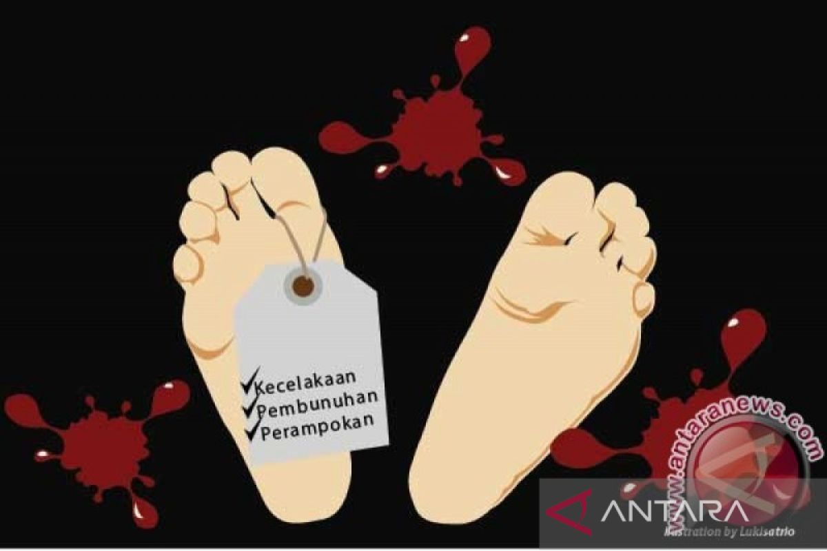 Polres tangkap pelaku pembunuhan ibu dan Anak