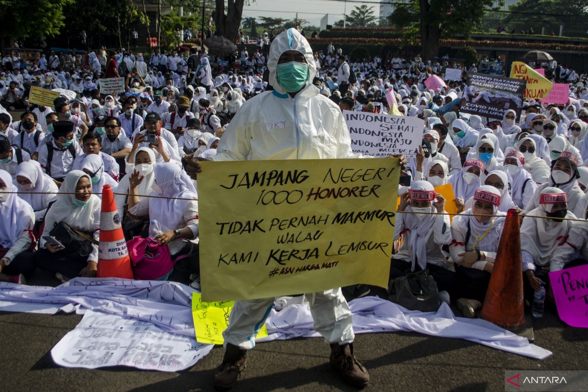 Anggota DPR minta Pemerintah tinjau ulang penghapusan honorer