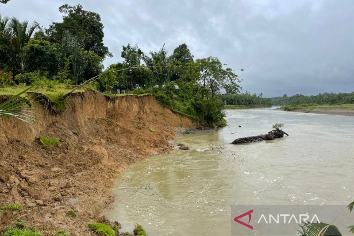 500 meter tebing sungai di pedalaman Aceh Barat tergerus erosi