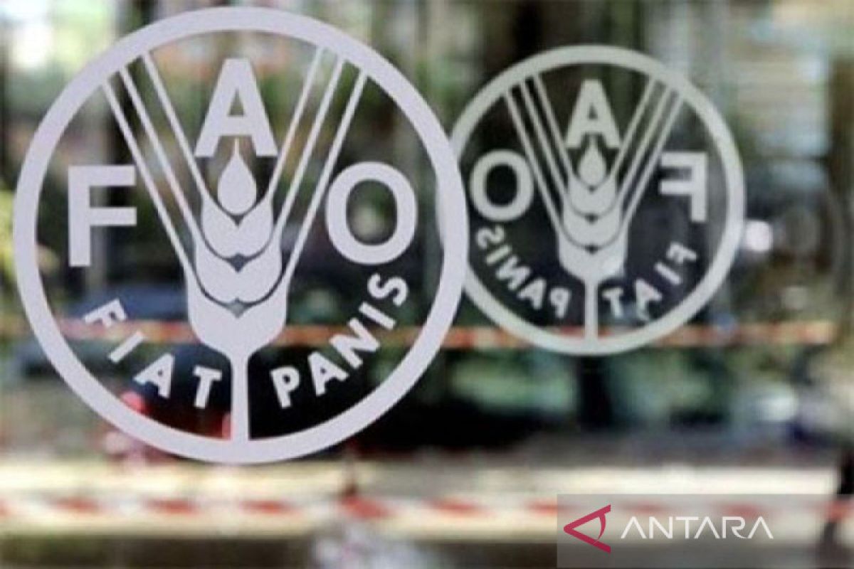 FAO harap Indonesia ajak negara G20 kolaborasi atasi kelaparan