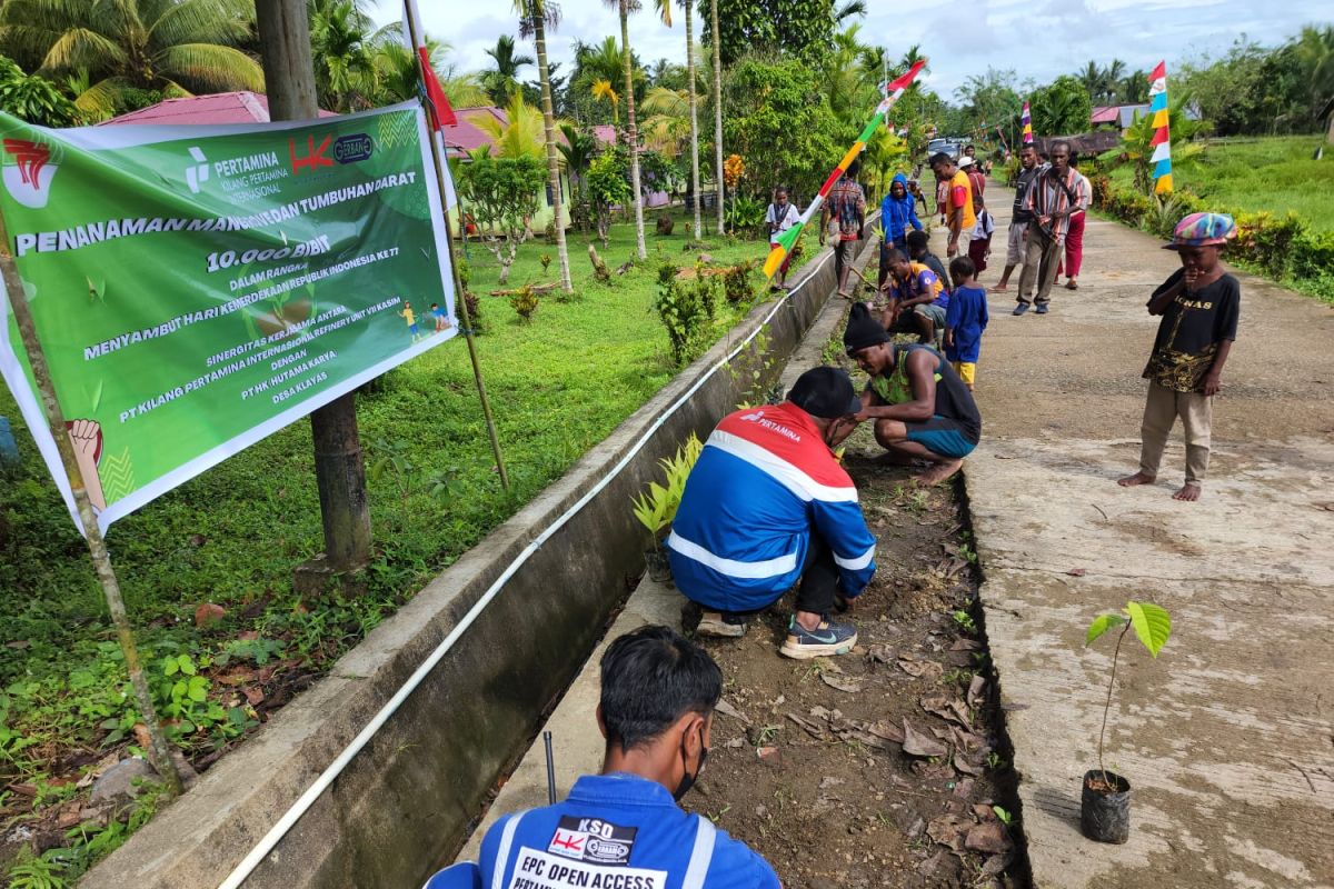 Pertamina Kilang Kasim tanam 10.000 pohon di Sorong