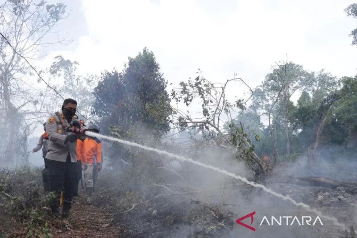 Seribu hektare lebih lahan di Riau terbakar selama Januari-Juli 2022
