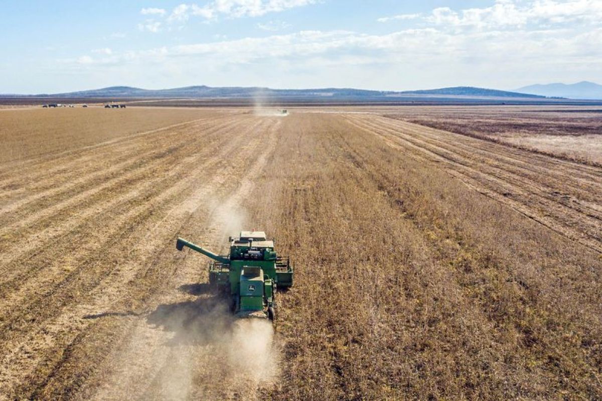 Rusia mungkin kurangi ekspor pangan akibat panen turun karena cuaca