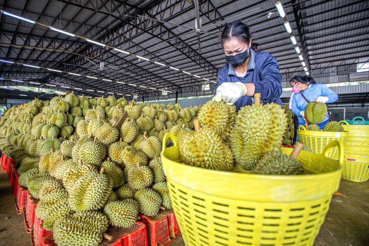 Menlu Kamboja sebut ASEAN berkomitmen untuk jamin implementasi RCEP