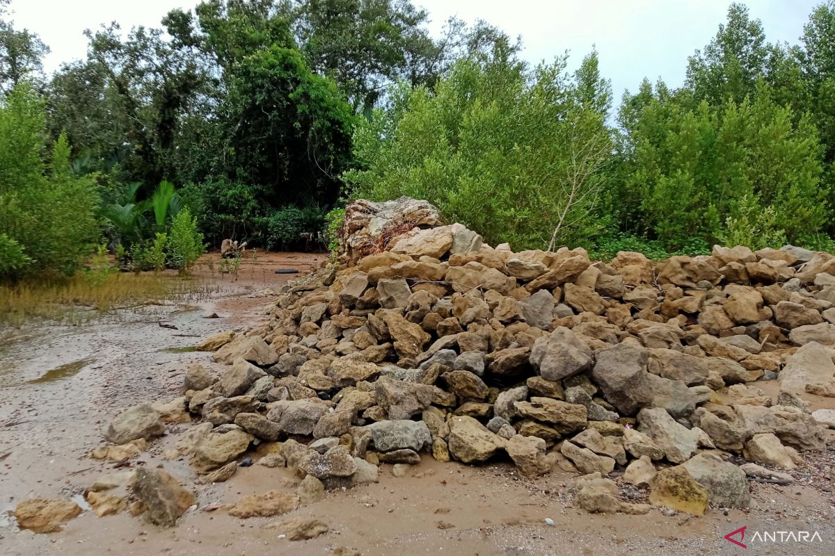 Abrasi di wilayah pesisir Penajam Paser Utara  butuh penanganan serius