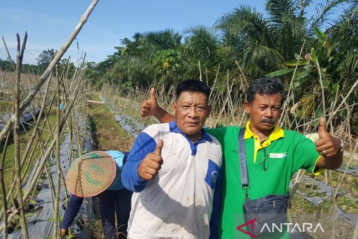 Kementerian Pertanian bantu bangun penampungan air irigasi Penajam