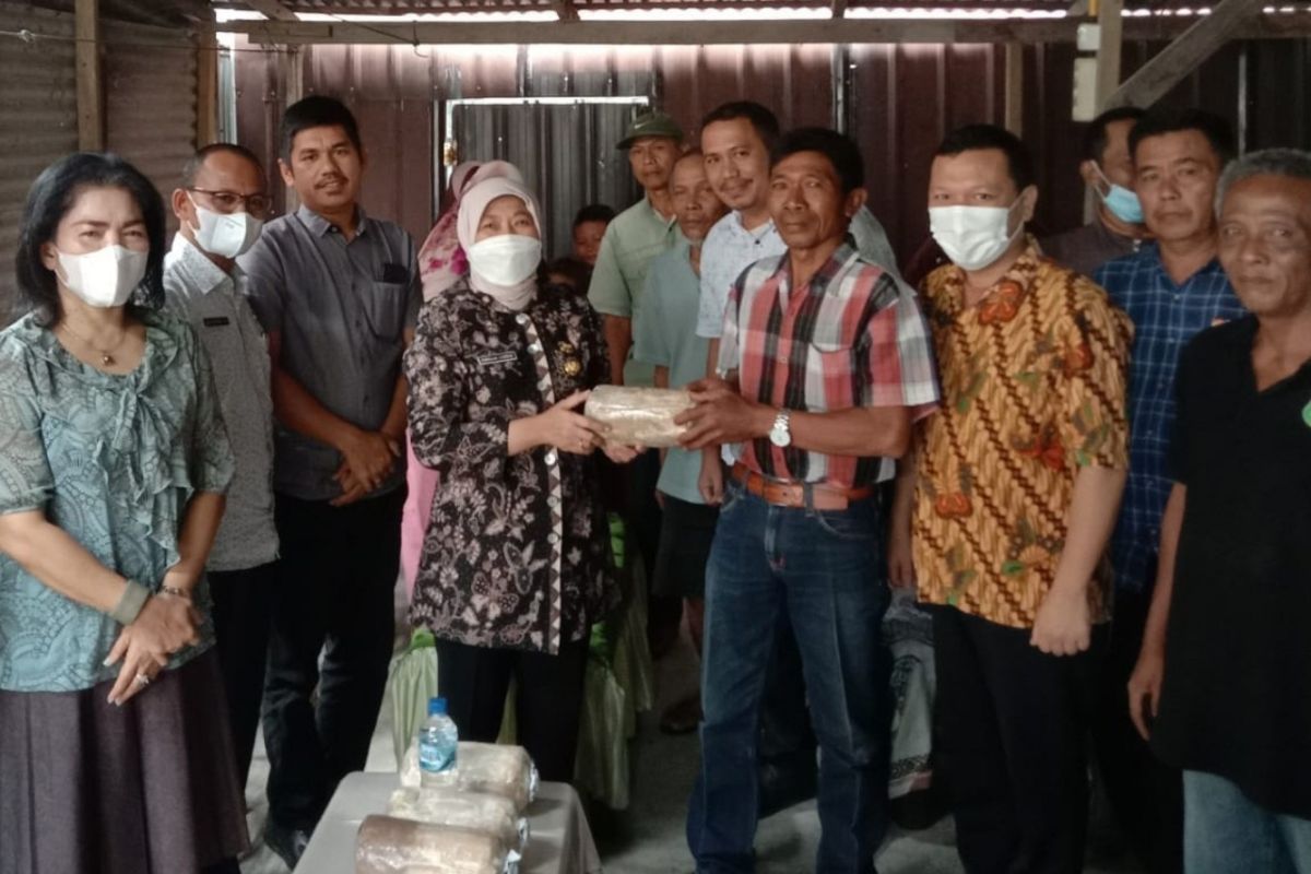 DPRD Medan dukung pemberian bantuan rumah jamur di Tangkahan