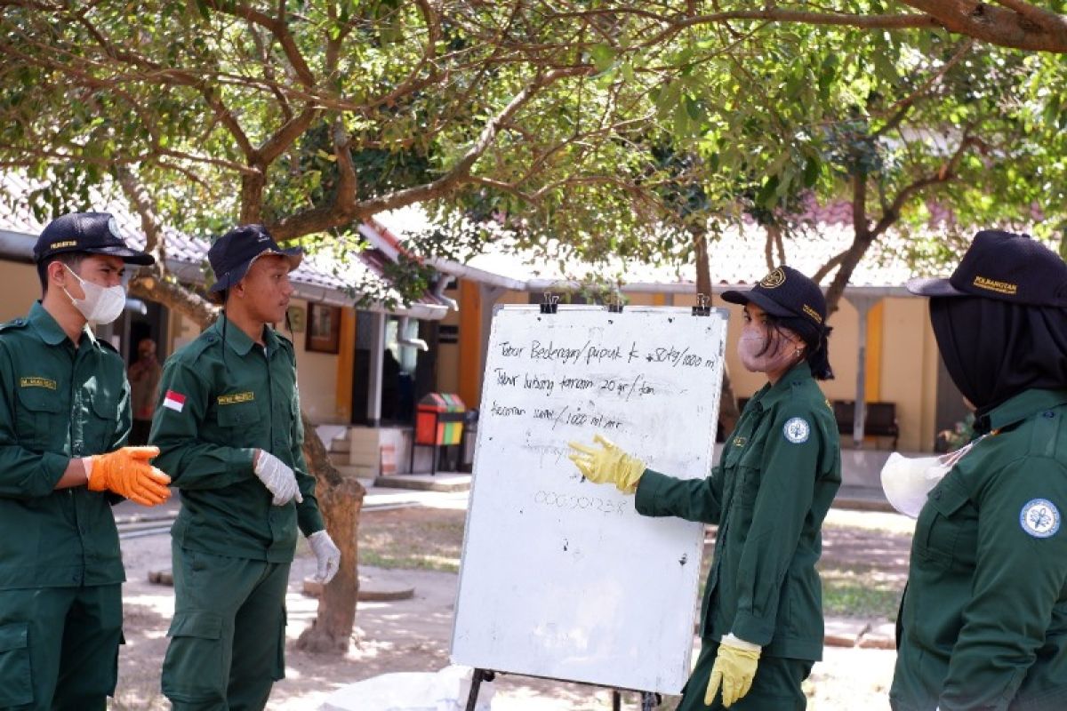 Dukung Pengembangan Pertanian Organik Indonesia, Mahasiswa Polbangtan ...