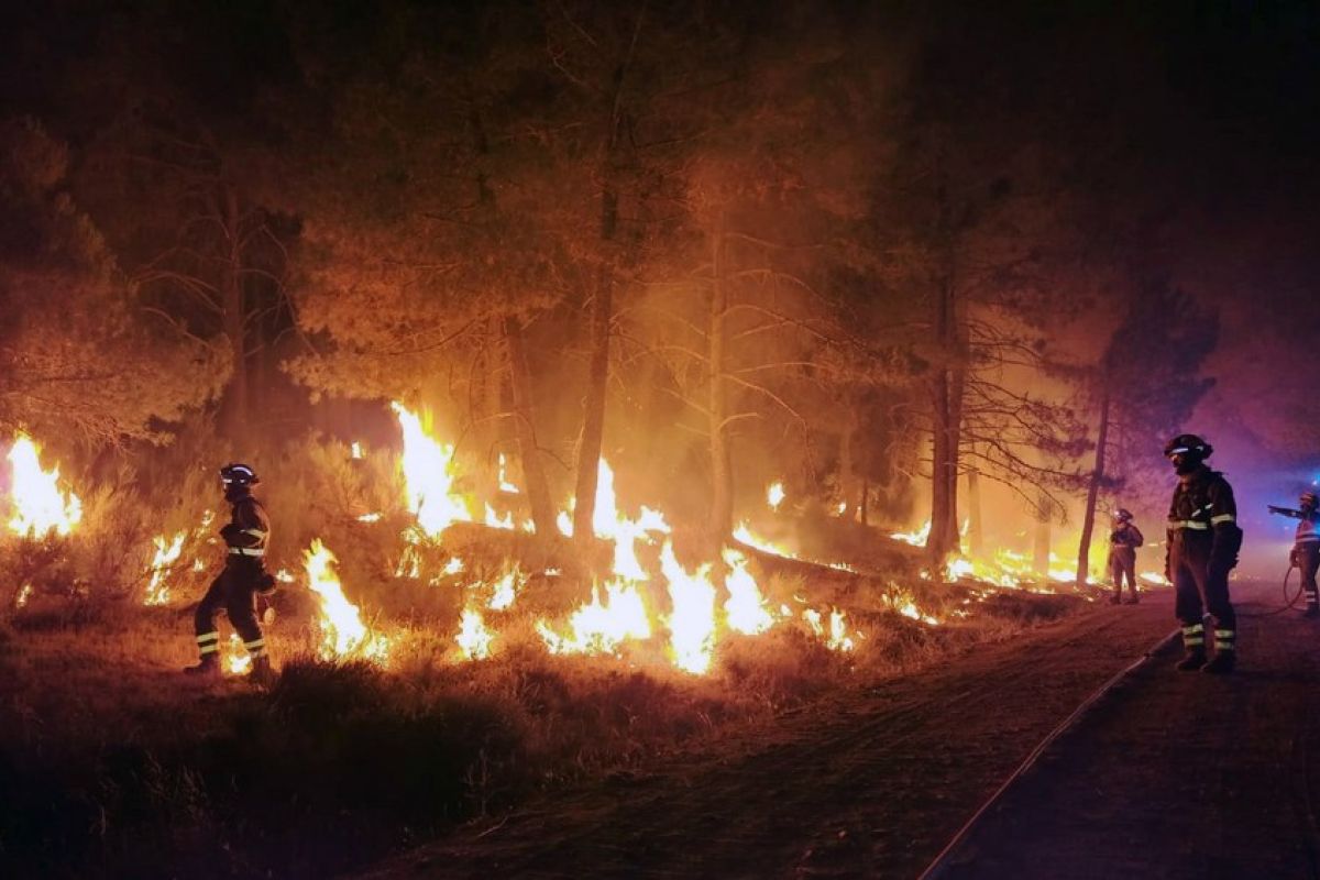 Kebakaran hutan di Spanyol musnahkan lebih dari 4.000 hektare lahan