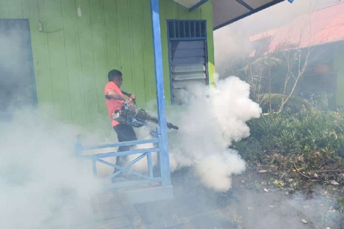 Sebanyak 120 warga Kabupaten Asmat terjangkit demam berdarah dengue