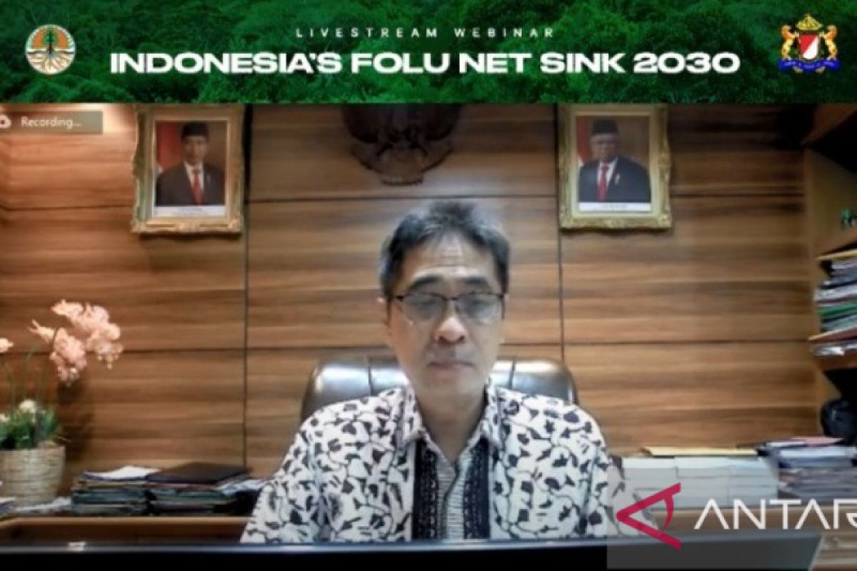 Silverius Oscar: Kadin dukung pemerintah capai Indonesia's FoLU Net Sink 2030