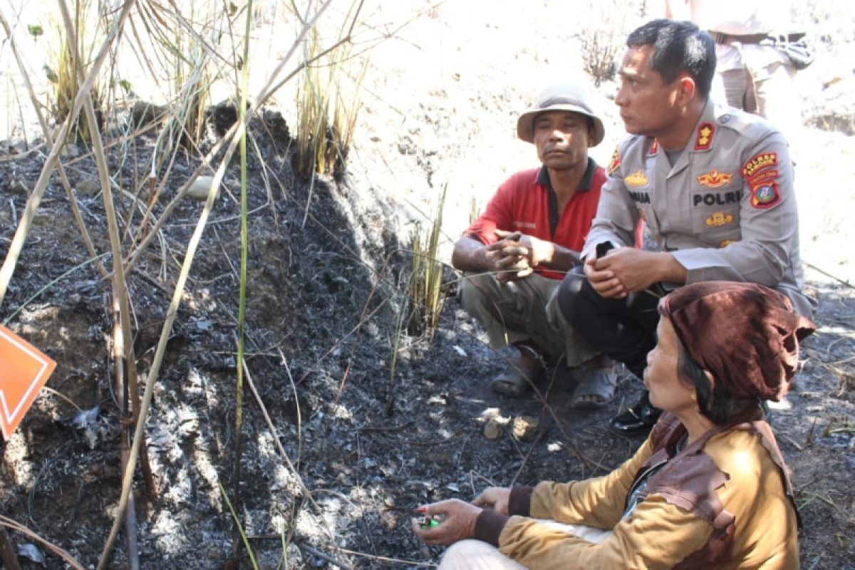 Polda Sumut tangkap dua pelaku pembakaran hutan di Samosir