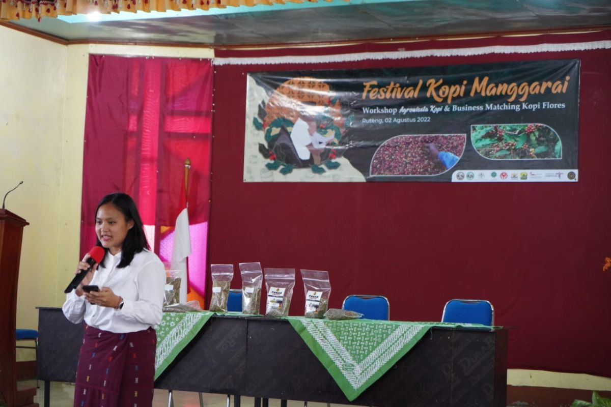 BPOLBF fasilitasi 'bussiness matching' perluas pasar Kopi Manggarai