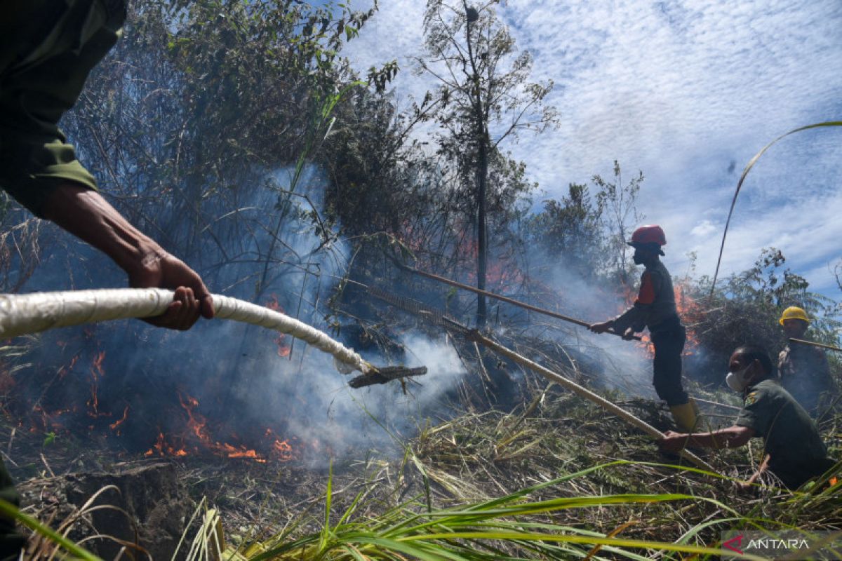 BMKG deteksi 19 titik panas di Sumut