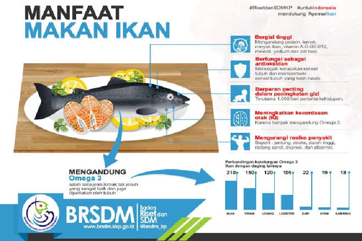 Pemkab Biak Numfor siapkan 17 ton untuk makan ikan gratis