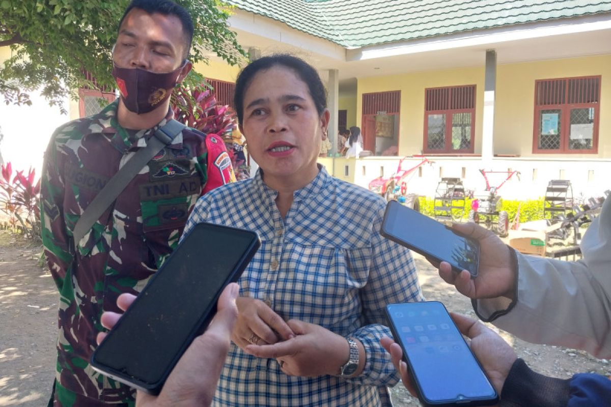 BPP Dolo  sebut 600 hektare sawah alih fungsi jadi lahan hortikultura