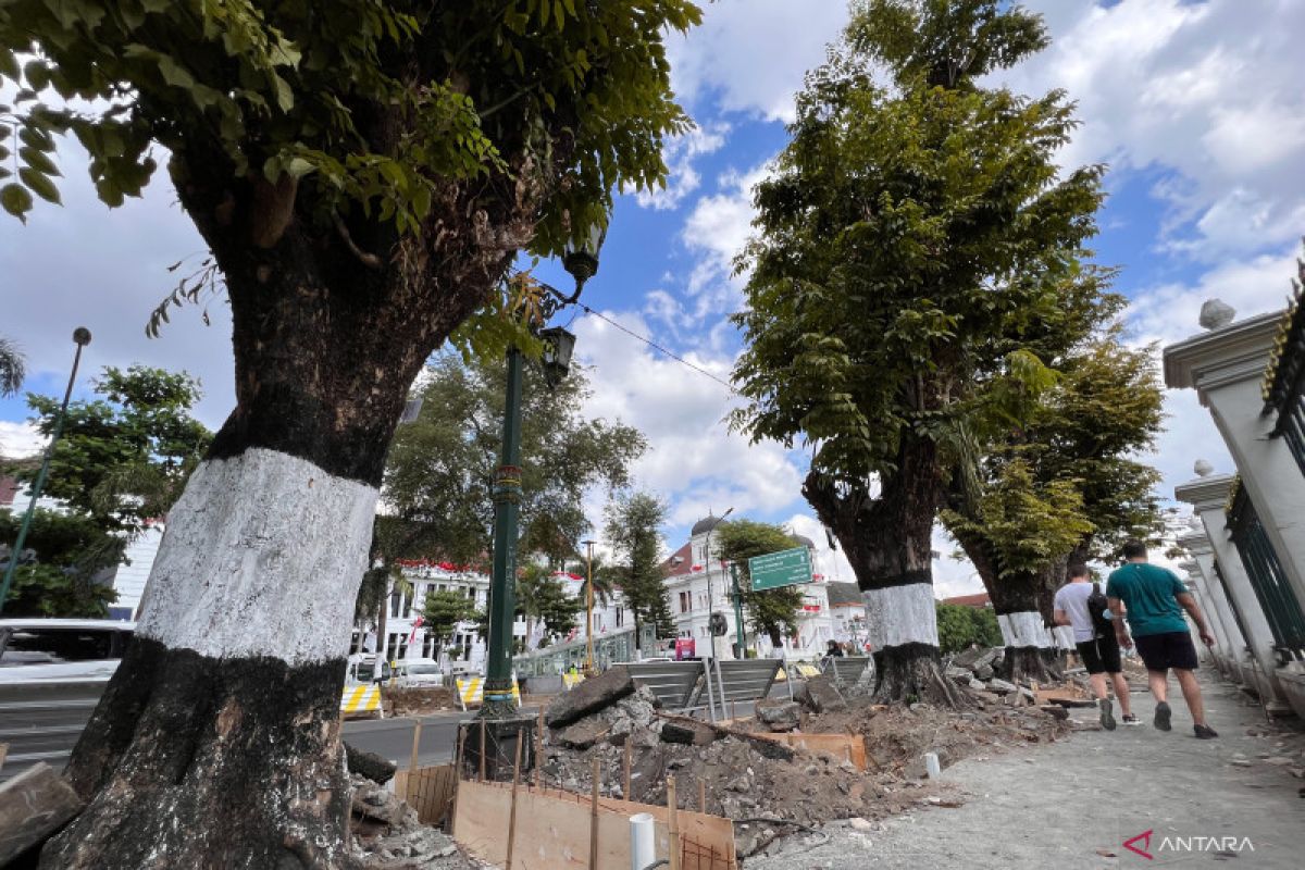 Penataan pedestrian Senopati Yogyakarta tanpa menebang pohon perindang