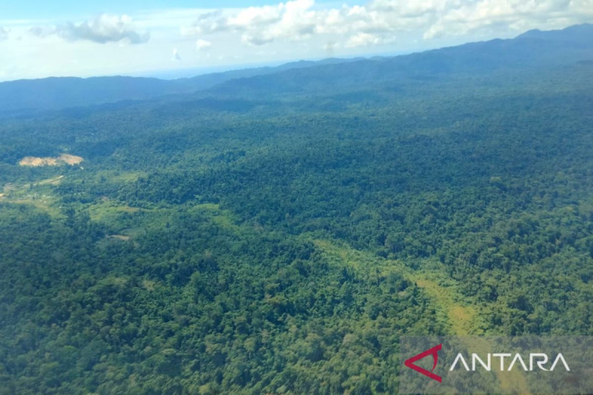 Papua Barat tetapkan RKTP 2022-2041 dukung pembangunan berkelanjutan