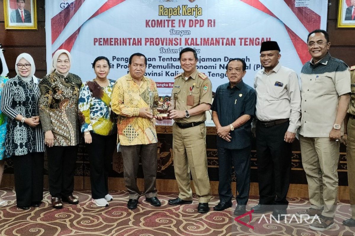 Komite IV DPD dorong pemda di Kalteng manfaatkan dana PEN