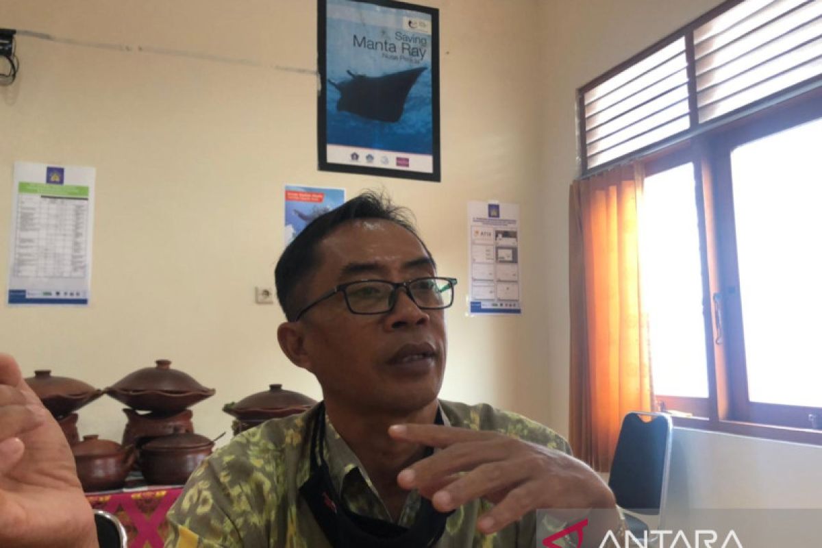UPTD KKP Bali pertegas aturan terkait ikan mola-mola di Nusa Penida